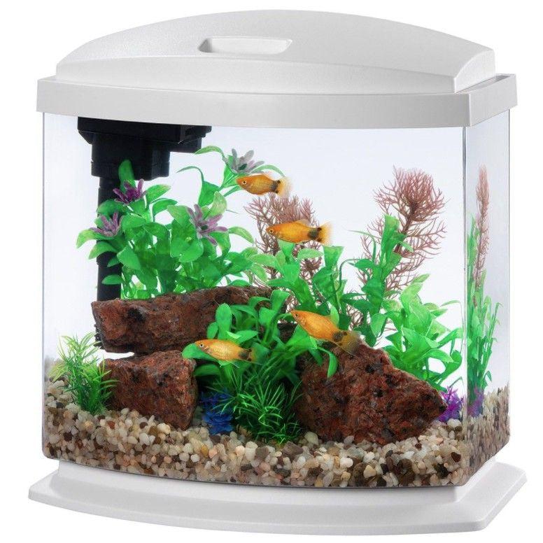 Aqueon LED MiniBow 2.5 SmartClean Aquarium Kit White-Animals & Pet Supplies-BimBimPet-