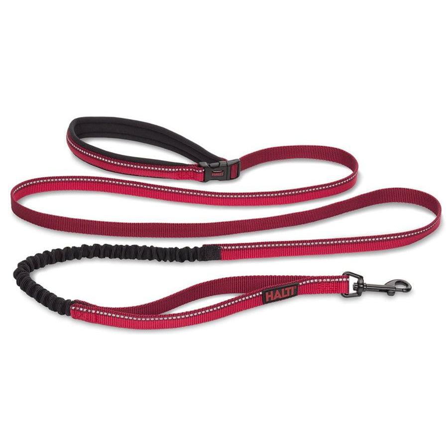 Company of Animals Halti All In One Lead for Dogs Red-Dog-Company of Animals-Large-