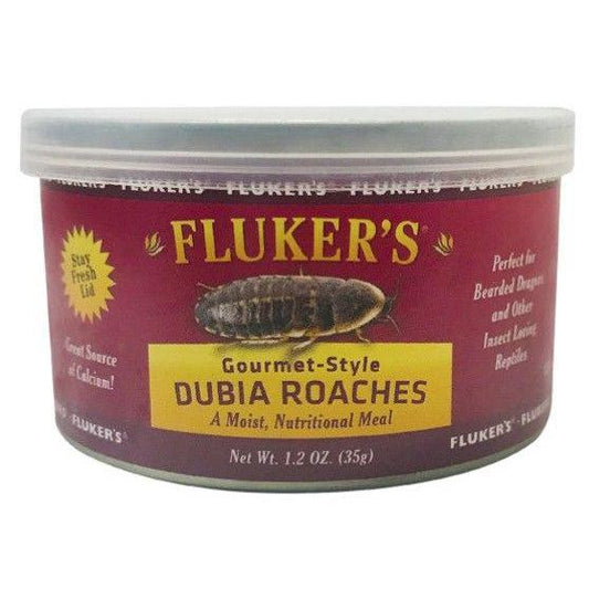 Flukers Gourmet Style Dubia Roaches-Reptile-Flukers-1.2 oz-