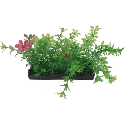 Penn Plax Green and Pink Bunch Plants Medium-Fish-Penn Plax-1 count-