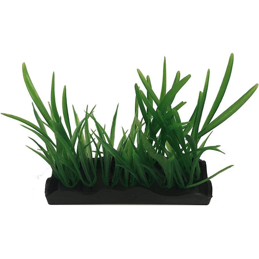 Penn Plax Harigrass Bunch Plant Medium-Fish-Penn Plax-1 count-