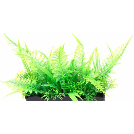 Penn Plax Ostrich Fern Bunch Plant 2"-Fish-Penn Plax-1 count-