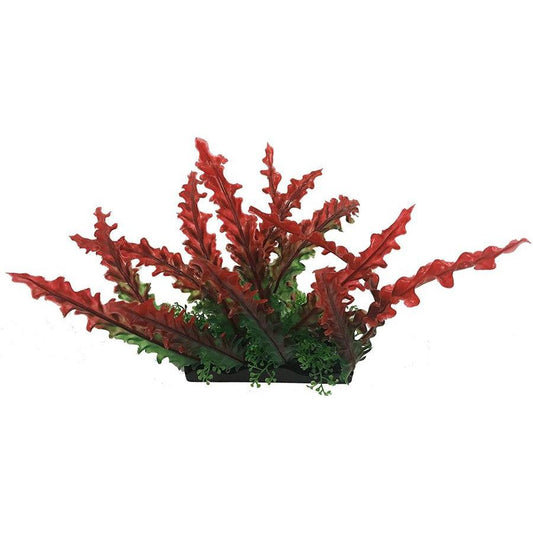 Penn Plax Red Bunch Plant Large-Fish-Penn Plax-1 count-