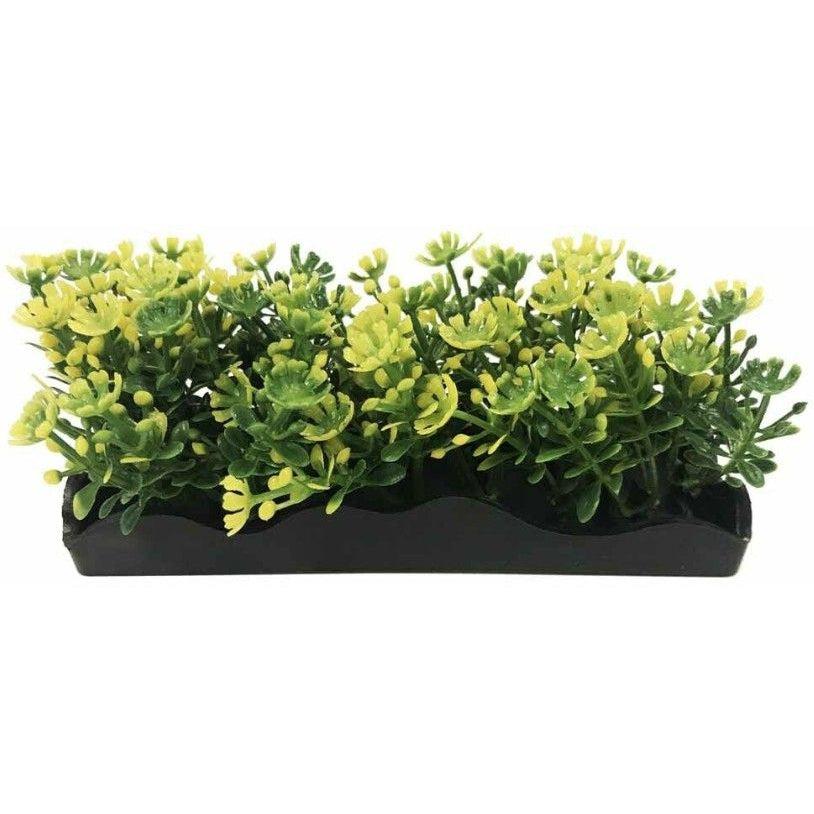 Penn Plax Yellow Bunch Plants Small-Fish-Penn Plax-1 count-