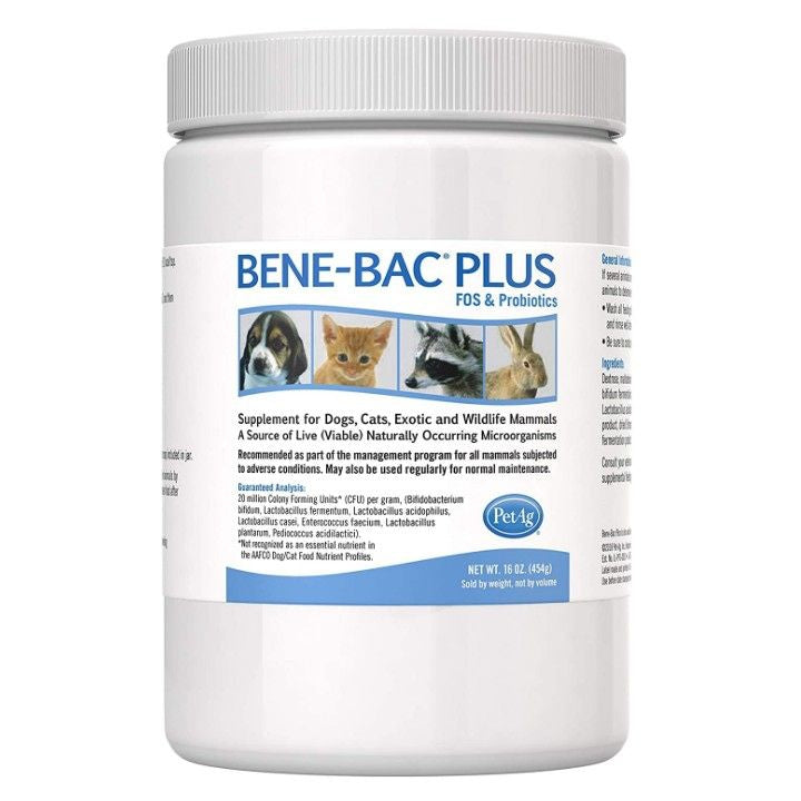 Pet Ag Bene-Bac Plus Pet Powder-Dog-Pet Ag-1 lb-