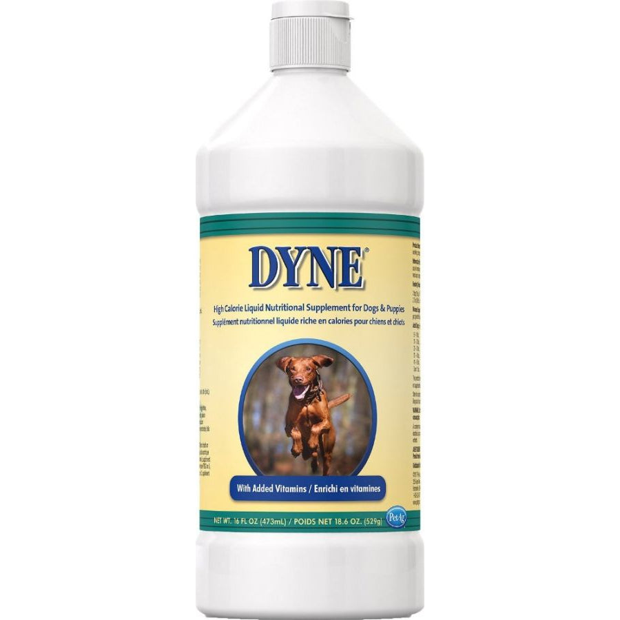 Pet Ag Dyne High Calorie Liquid Nutritional Supplement for Dogs and Puppies-Dog-Pet Ag-16 oz-