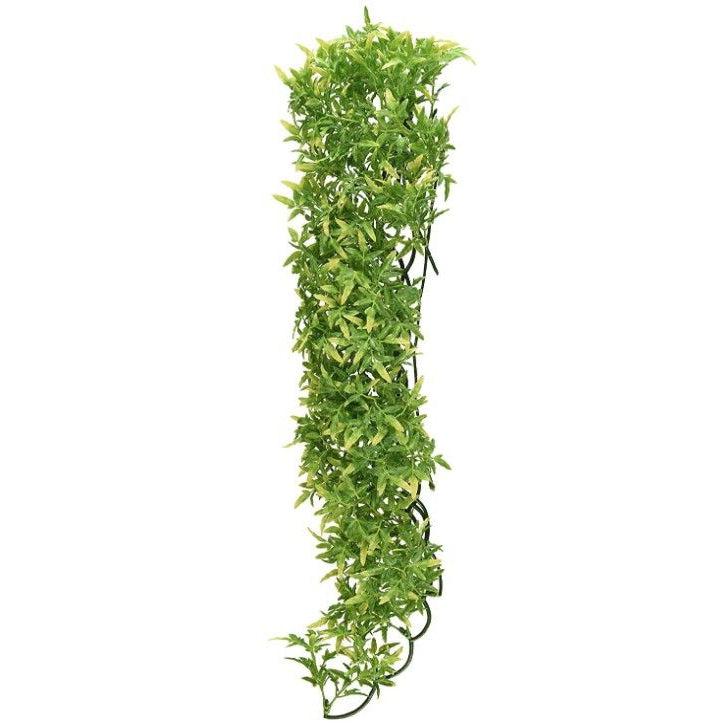 Zoo Med Natural Bush Bolivian Croton Plant Large-Reptile-Zoo Med-1 count-