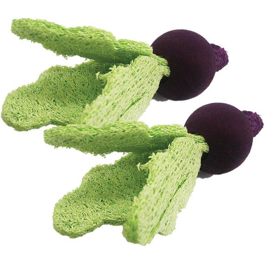 AE Cage Company Nibbles Turnip Loofah Chew Toys with Wood-Small Pet-AE Cage Company-2 count-