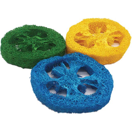 AE Cage Company Nibbles Loofah Slice Chew-Small Pet-AE Cage Company-3 count-