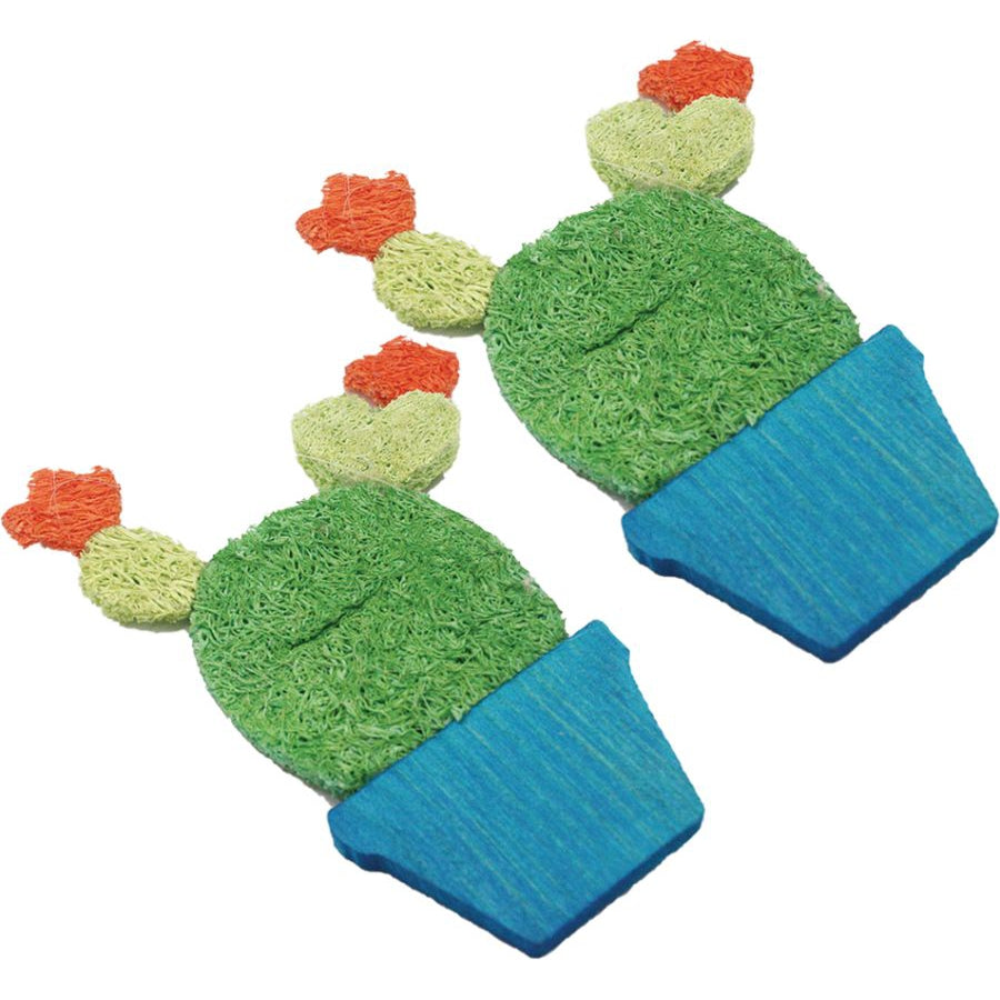 AE Cage Company Nibbles Potted Cactus Loofah Chew Toys-Small Pet-AE Cage Company-2 count-