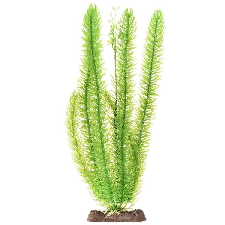 Penn Plax Sinkers Club Moss Aquarium Plant Green-Fish-Penn Plax-13" tall-