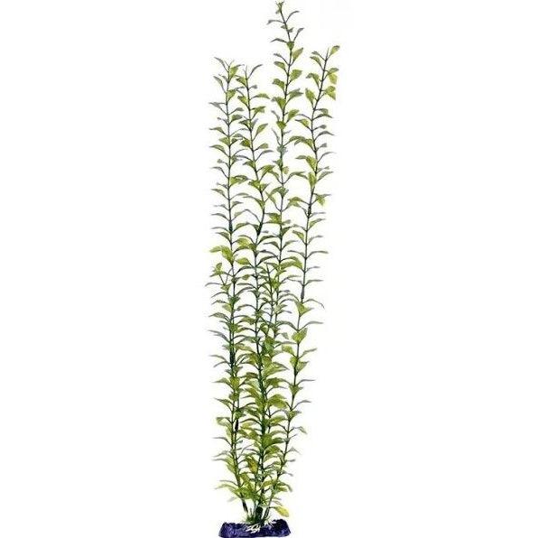 Penn Plax Sinkers Blooming Ludwigia Aquarium Plant Green-Fish-Penn Plax-13" tall-