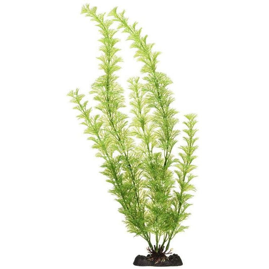 Penn Plax Sinkers Flowering Cabomba Aquarium Plant Green-Fish-Penn Plax-18" tall-