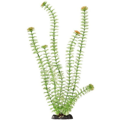 Penn Plax Sinkers Ambulia Aquarium Plant Green-Fish-Penn Plax-18" tall-