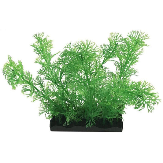 Penn Plax Green Clubmoss Bunch Plant Large-Animals & Pet Supplies-BimBimPet-