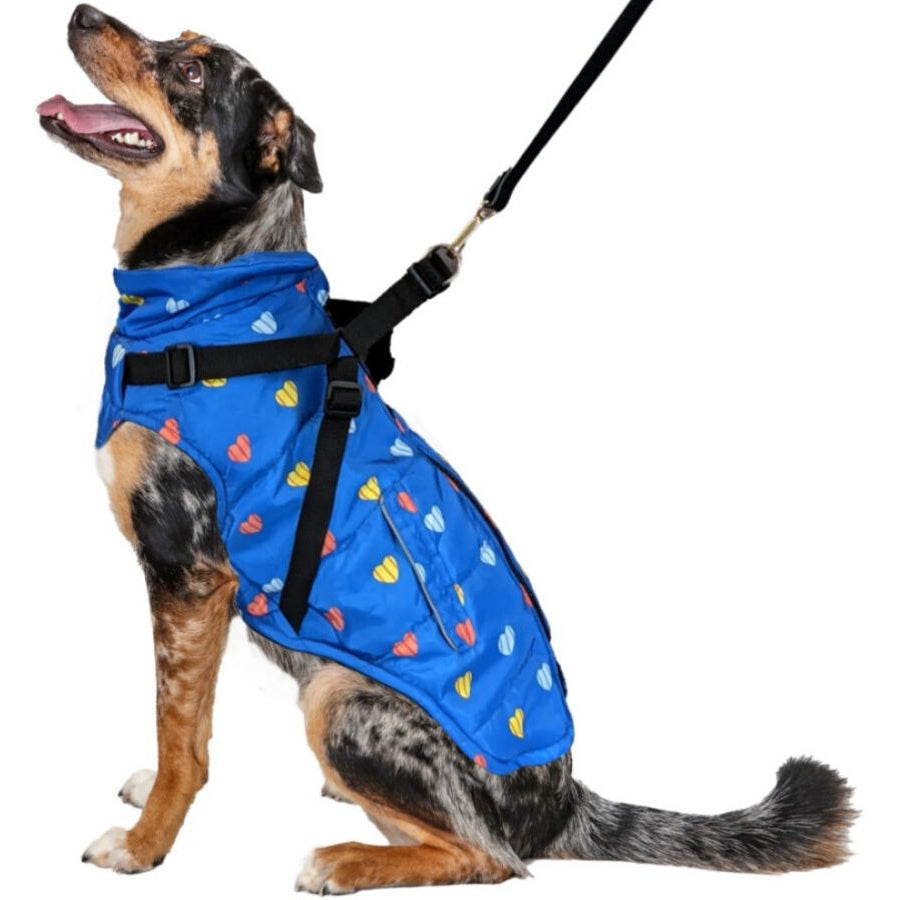 Fashion Pet Puffy Heart Harness Coat Blue-Dog-Fashion Pet-Medium-