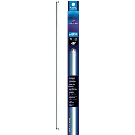 Aqueon Actinic Bluelight T8 Fluorescent Lamp-Fish-Aqueon-48" - 32 watt-