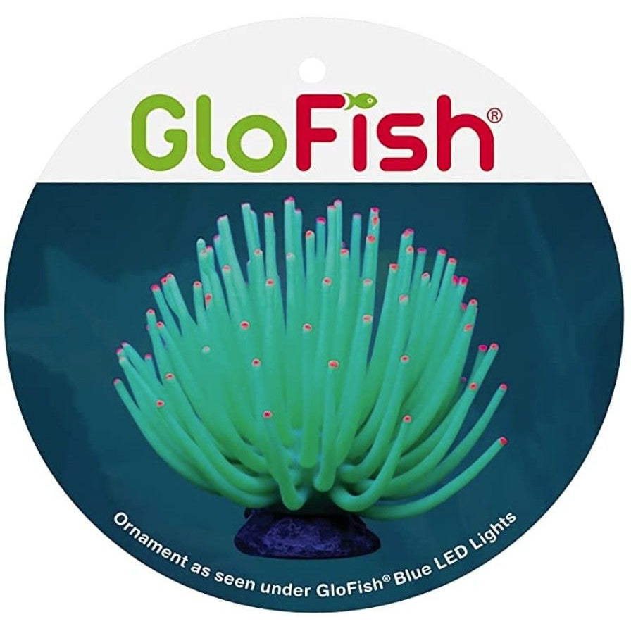 Tetra GloFish Anemone Aquarium Ornament Green-Fish-Tetra-1 count-