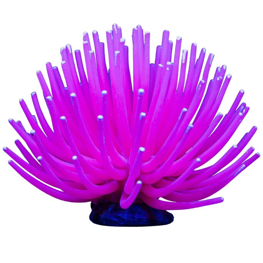 Tetra GloFish Anemone Aquarium Ornament Pink-Fish-Tetra-1 count-