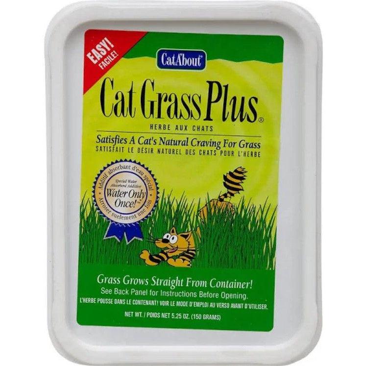 Gimborn Cat-A'bout Cat Grass Plus Multi-Cat-Cat-Gimborn-1 count-