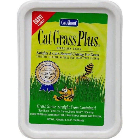 Gimborn Cat-A'bout Cat Grass Plus Multi-Cat-Cat-Gimborn-1 count-