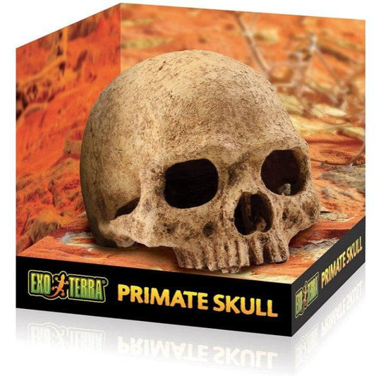 Exo Terra Terrarium Primate Skull Decoration-Reptile-Exo Terra-1 count-