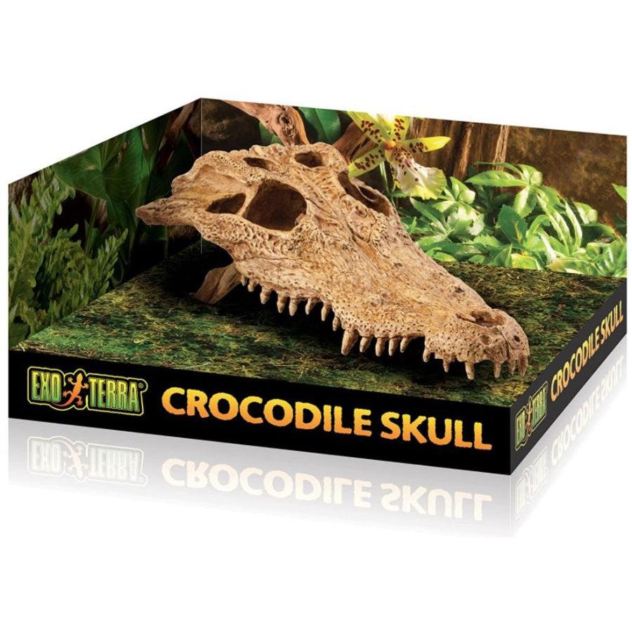 Exo Terra Terrarium Crocodile Skull Decoration-Reptile-Exo Terra-1 count-