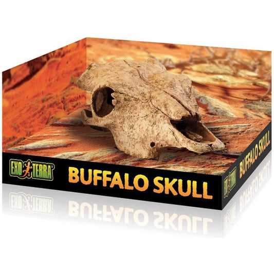 Exo Terra Terrarium Buffalo Skull Decoration-Reptile-Exo Terra-1 count-