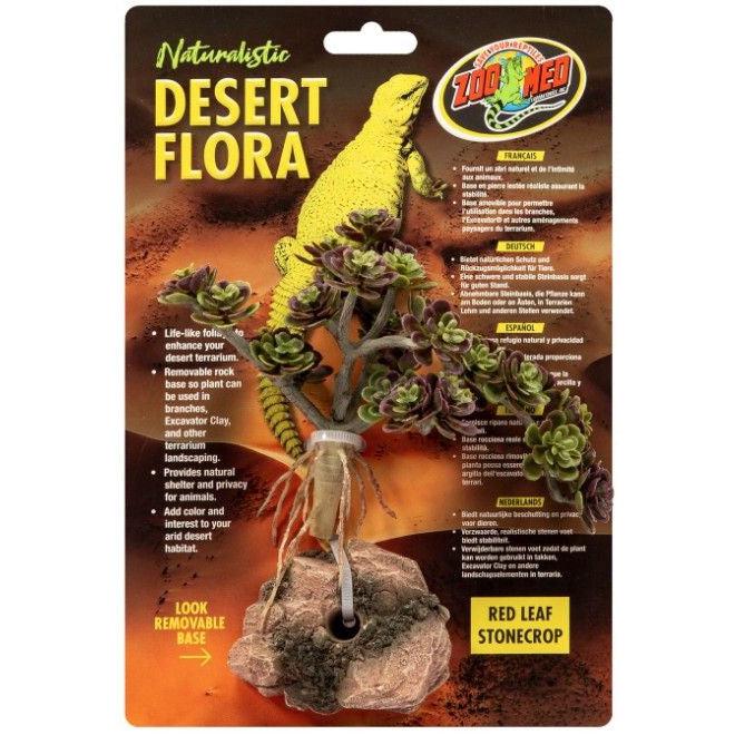 Zoo Med Red Leaf Stonecrop Desert Flora Terrarium Plant-Reptile-Zoo Med-1 count-