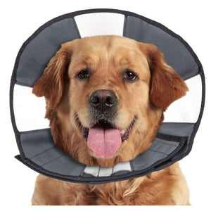 ZenPet Zen Cone Soft Recovery Collar-Dog-ZenPet-X-Large - 1 count-
