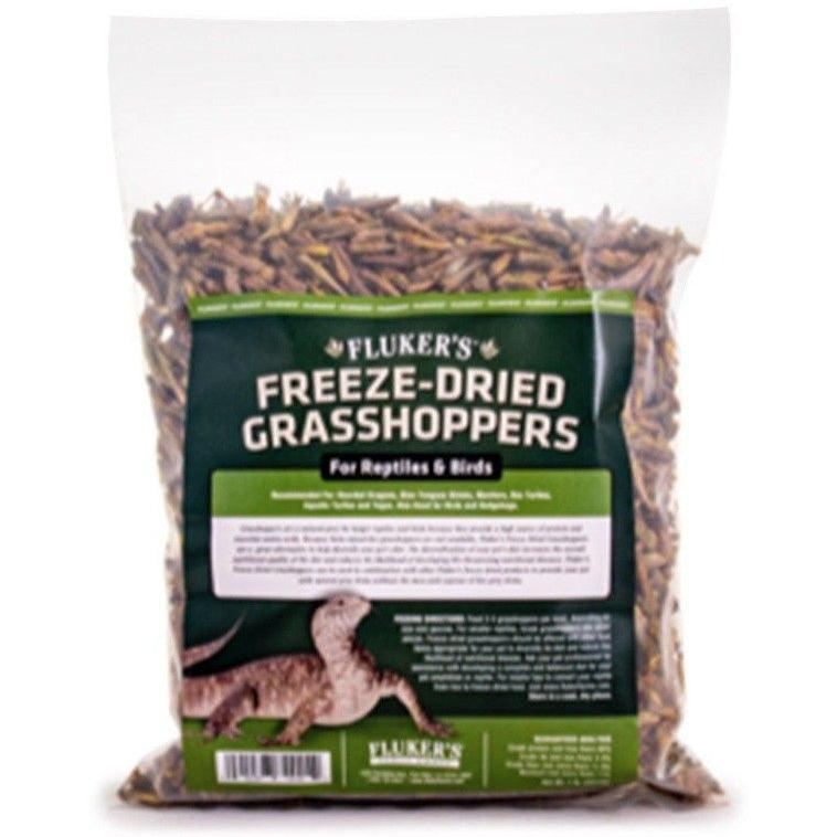 Flukers Freeze-Dried Grasshoppers-Reptile-Flukers-1 lb-