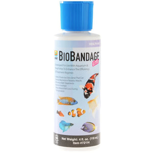 Hikari Bio-Bandage-Fish-Hikari-4 oz-