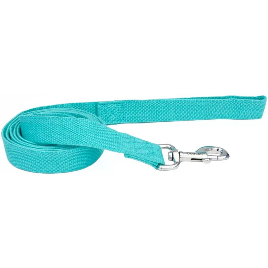 Coastal Pet New Earth Soy Dog Lead Mint Green-Dog-Coastal Pet-6 feet x 5/8"W-