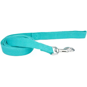 Coastal Pet New Earth Soy Dog Lead Mint Green-Dog-Coastal Pet-6 feet x 1"W-