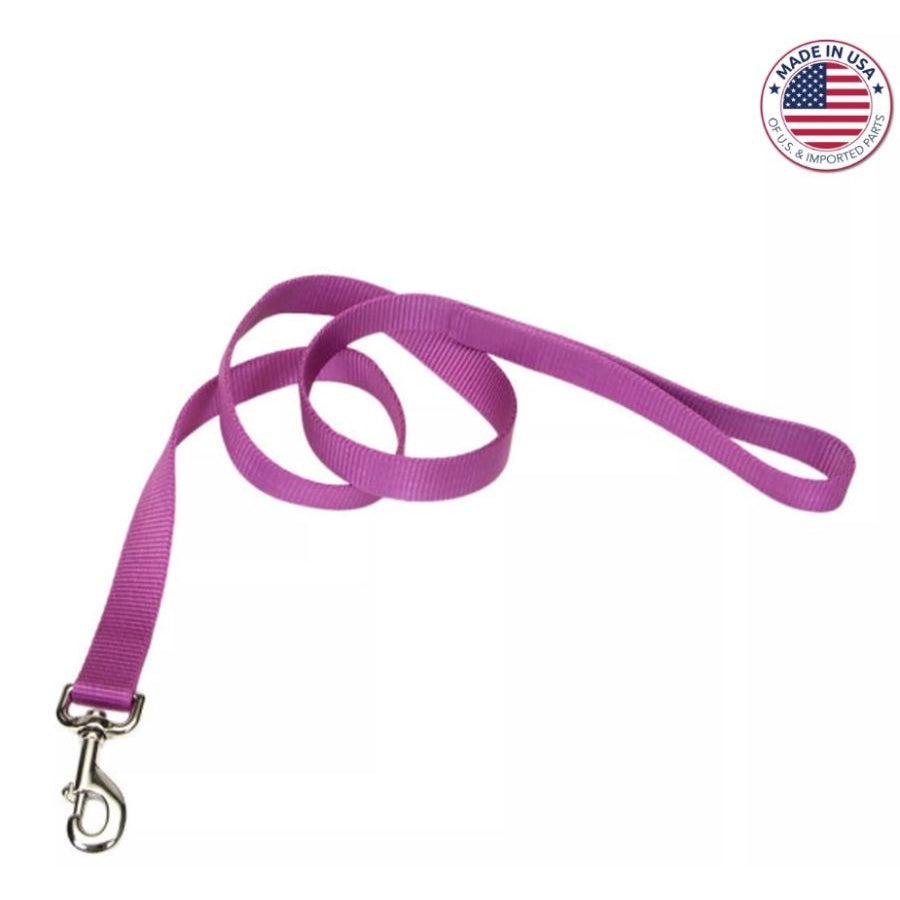 Coastal Pet Single-Ply Nylon Dog Leash Orchid-Dog-Coastal Pet-6 feet x 3/8"W-