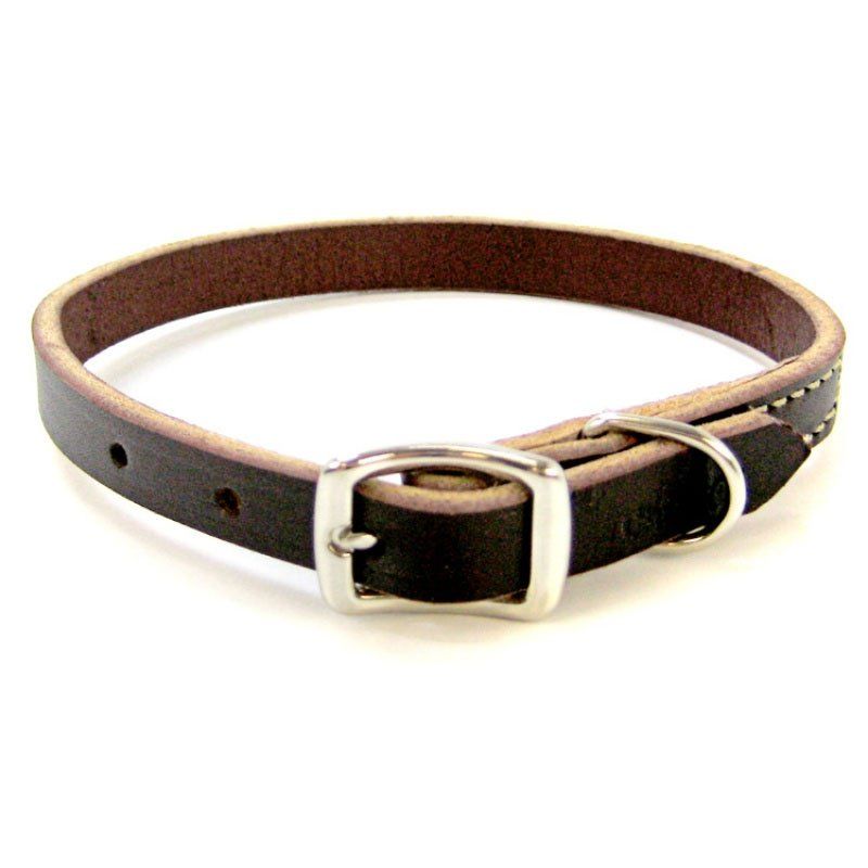 Circle T Latigo Leather Town Collar-Dog-Circle T Leather-12" Long x 3/8" Wide-