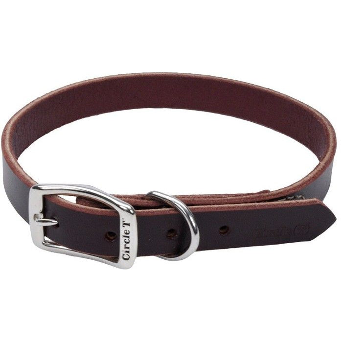 Circle T Latigo Leather Town Collar-Dog-Circle T Leather-20" Long x 3/4" Wide-