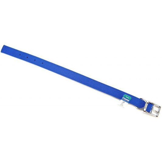 Coastal Pet Double Nylon Collar - Blue-Animals & Pet Supplies-BimBimPet-