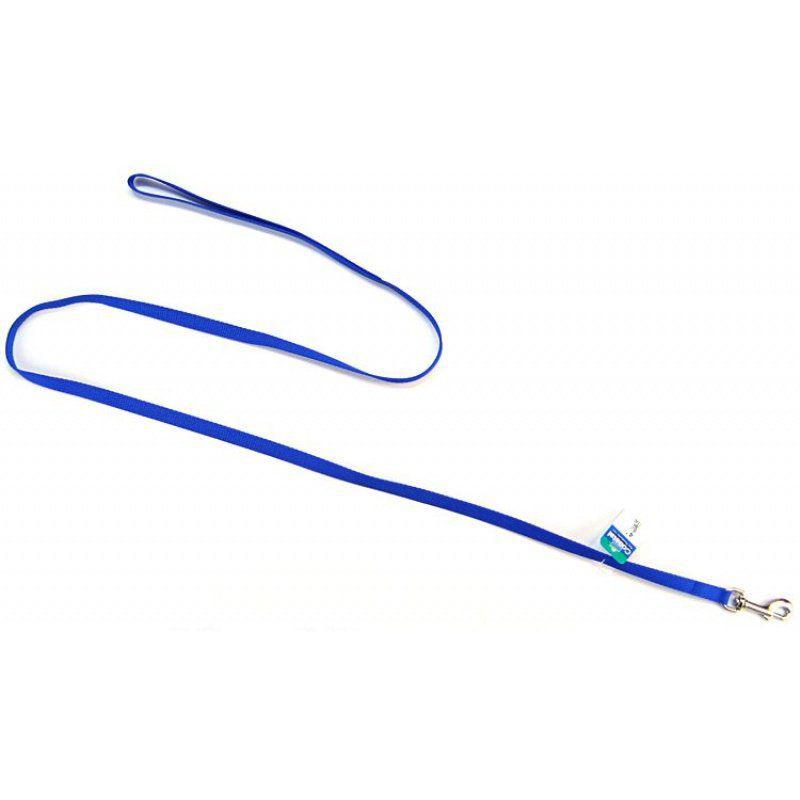 Coastal Pet Nylon Lead - Blue-Dog-Coastal Pet-4' Long x 3/8" Wide-