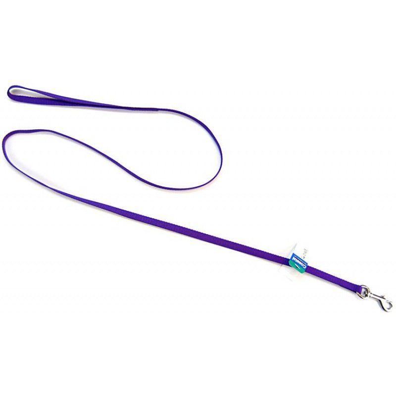 Coastal Pet Nylon Lead - Purple-Dog-Coastal Pet-4' Long x 3/8" Wide-