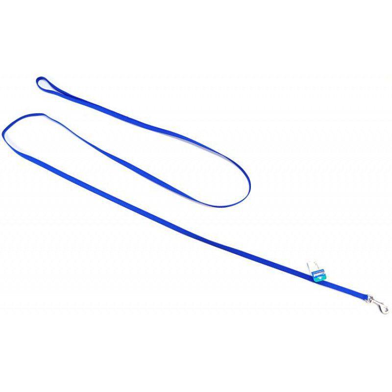 Coastal Pet Nylon Lead - Blue-Dog-Coastal Pet-6' Long x 3/8" Wide-