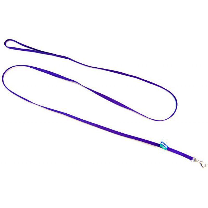 Coastal Pet Nylon Lead - Purple-Dog-Coastal Pet-6' Long x 3/8" Wide-