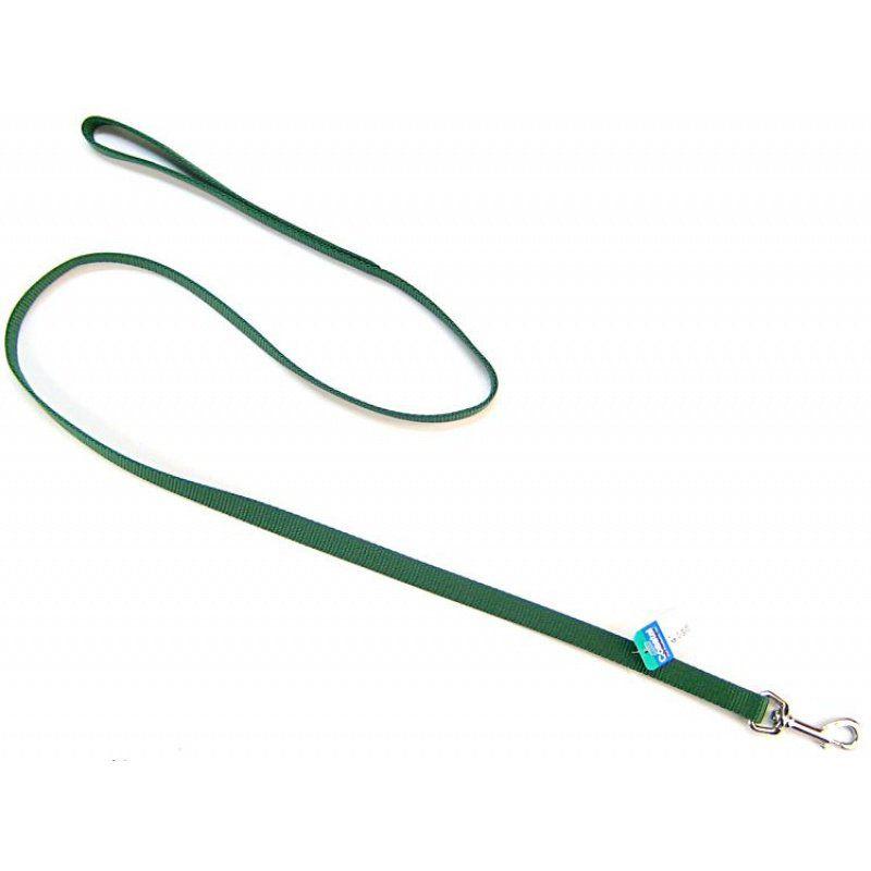 Coastal Pet Nylon Lead - Hunter Green-Dog-Coastal Pet-4' Long x 5/8" Wide-