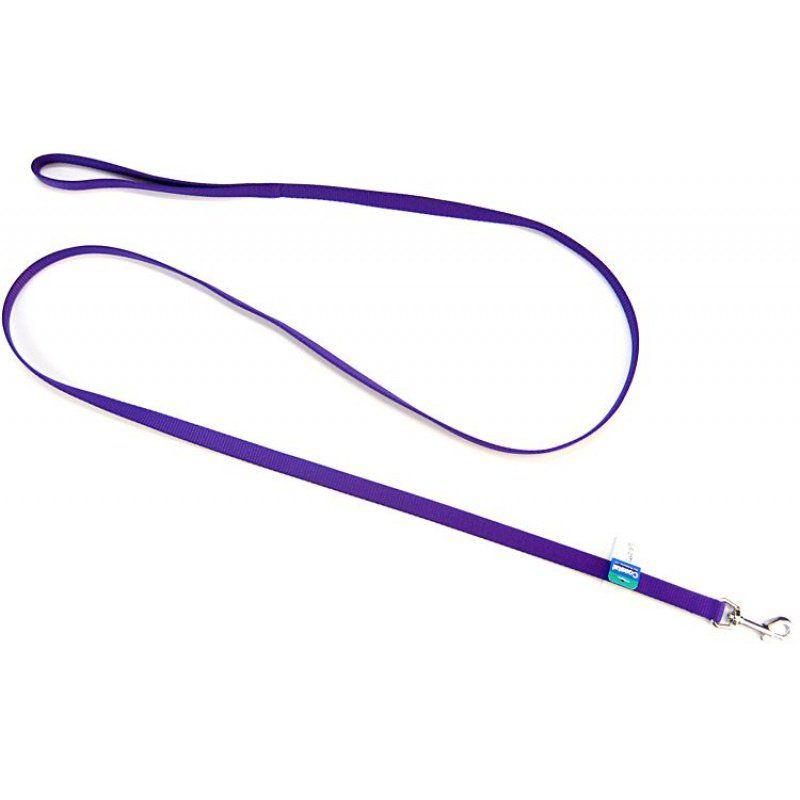 Coastal Pet Nylon Lead - Purple-Dog-Coastal Pet-6' Long x 5/8" Wide-