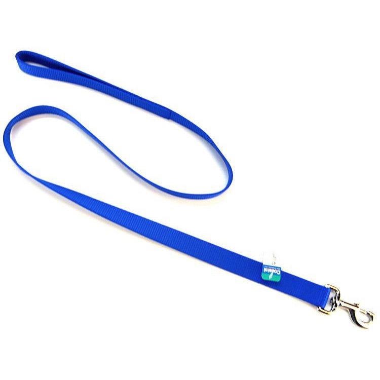 Coastal Pet Single Nylon Lead - Blue-Dog-Coastal Pet-4' Long x 1" Wide-