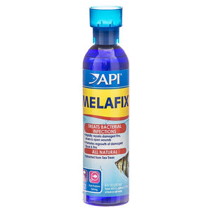 API MelaFix Antibacterial Fish Remedy-Fish-API-8 oz Bottle (Treats 474 Gallons)-