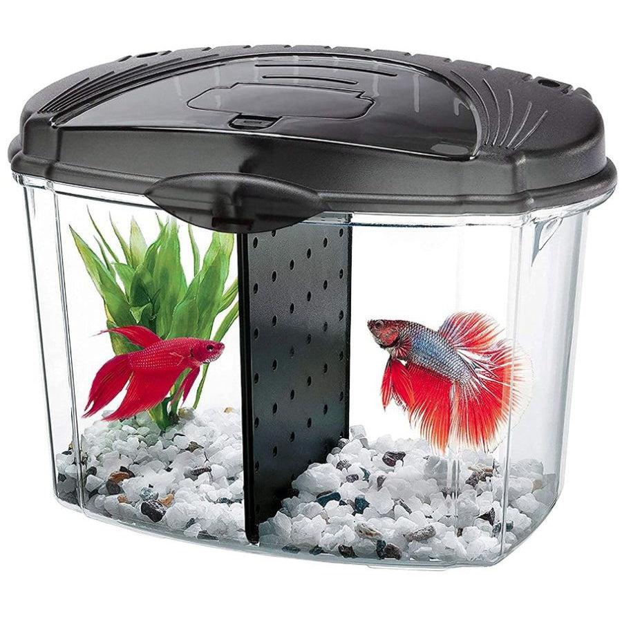 Aqueon Betta Bowl Starter Kit - Black-Fish-Aqueon-.5 Gallon-