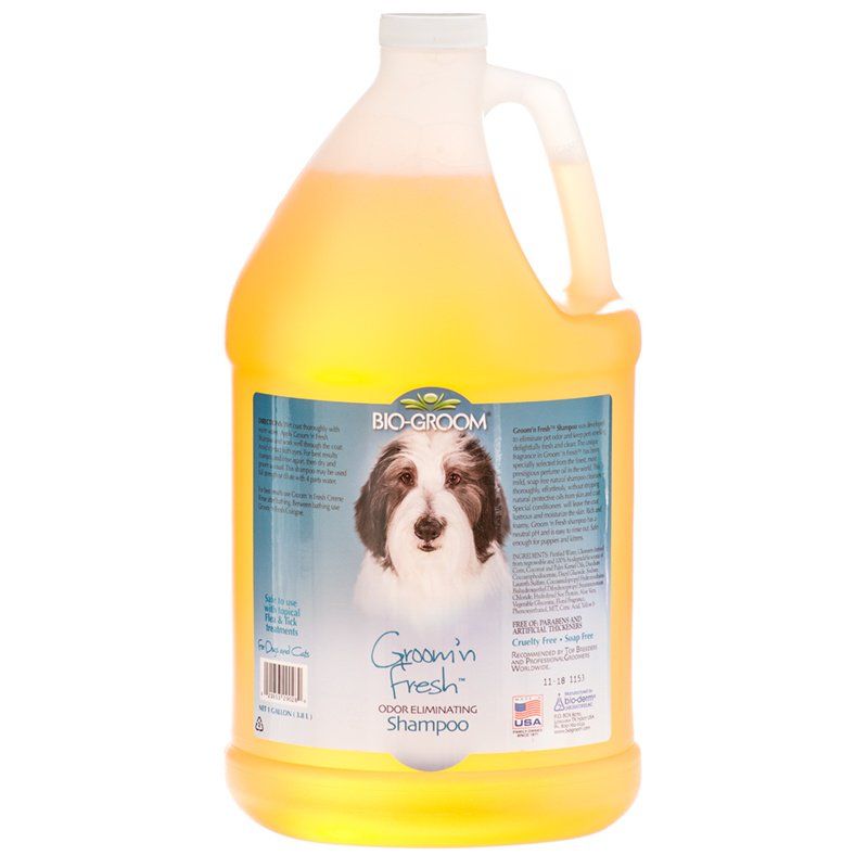 Bio Groom Groom N Fresh Shampoo-Dog-Bio-Groom-1 Gallon-