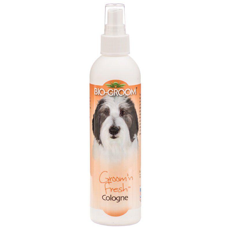 Bio Groom Groom N Fresh Cologne-Dog-Bio-Groom-8 oz-