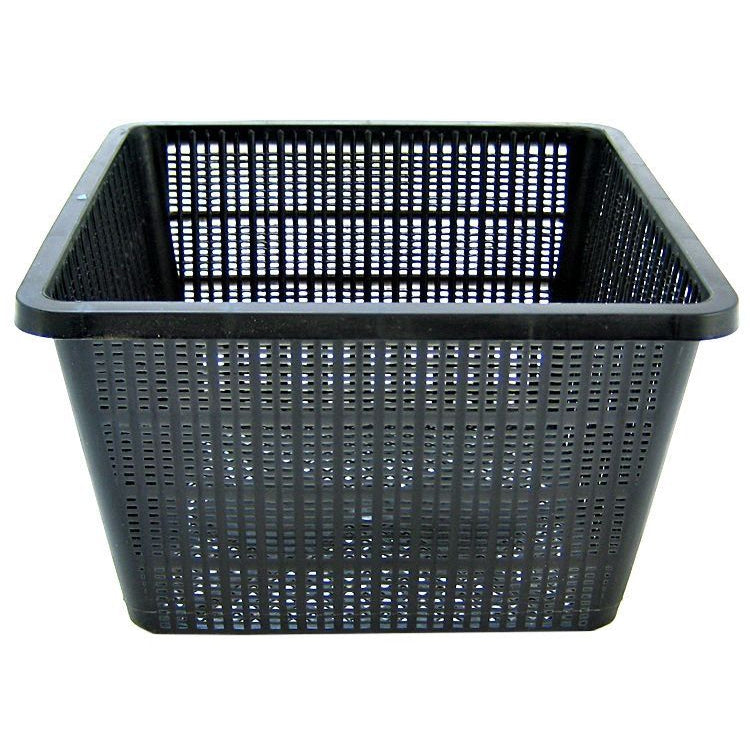Beckett Square Plant Pond Basket-Fish-Beckett-1 count-